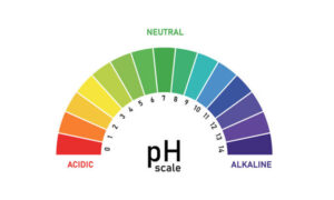 Equilibrio acido-base: il pH del corpo — copertina articolo