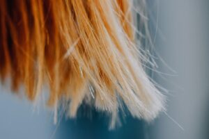 Macro di ciocche di capelli: il bulbo del capello come hard disk dell'epigenetica