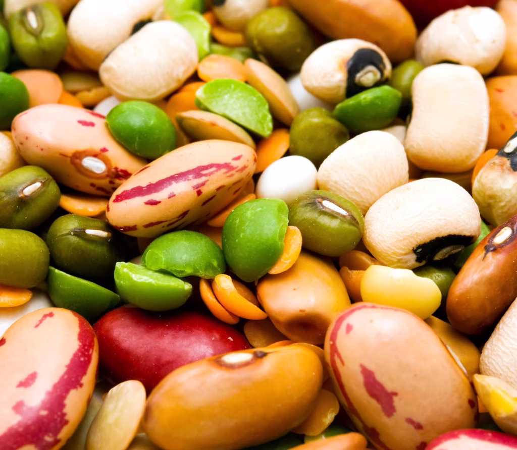 Legumi misti: fagioli borlotti e cannellini, fave e piselli secchi