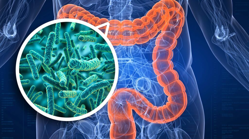 Analisi del microbiota intestinale in laboratorio per il benessere dell'intestino